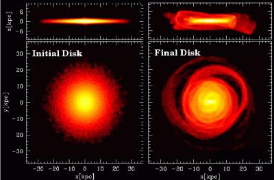 Density Maps of Disk Stars