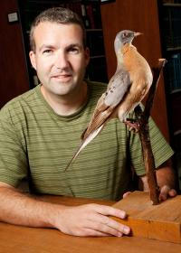 Ornithologist Kevin Johnson, University of Illinois at Urbana-Champaign