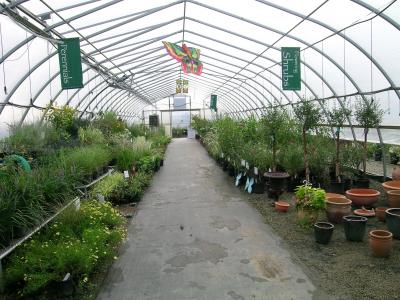 Plant Nursery