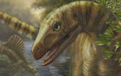 What happened to dinosaurs' predecessors afte | EurekAlert!