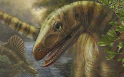 Artist's Depiction of <I>Asilisarus</I>