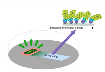 Catching Waves: Measuring Self-Assembly in Action