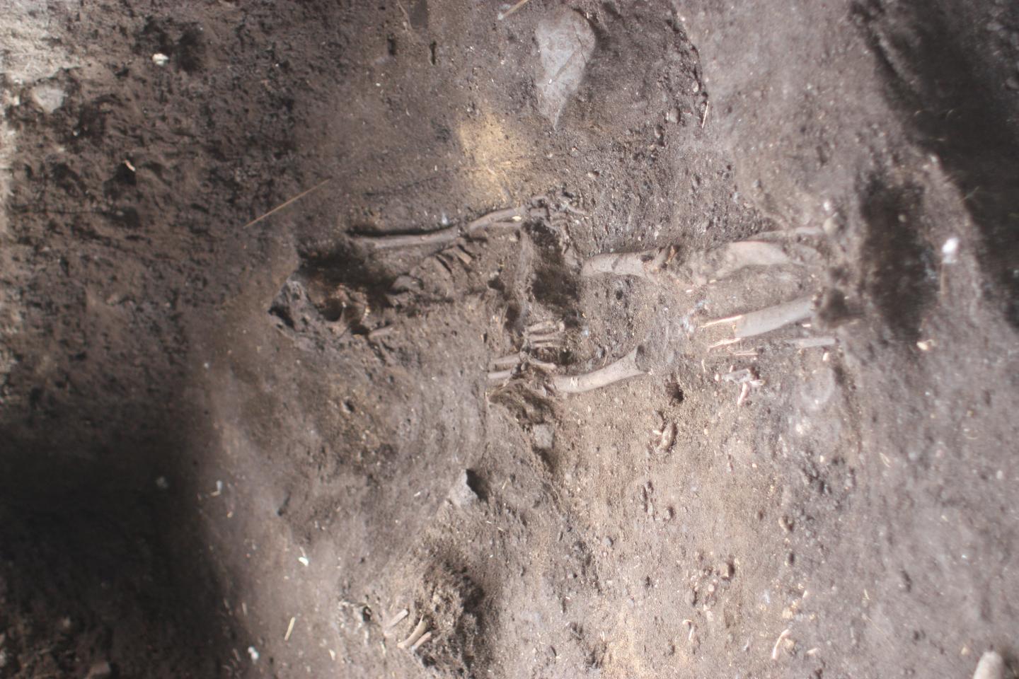 Burial Excavations on Uripiv Island Malakula