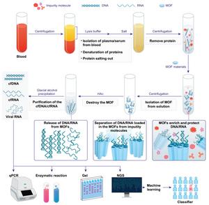 Schematic representation of the technical workflow for circulating nucleic acid enrichment in blood using MOF materials