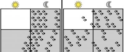 A Disrupted Master Clock