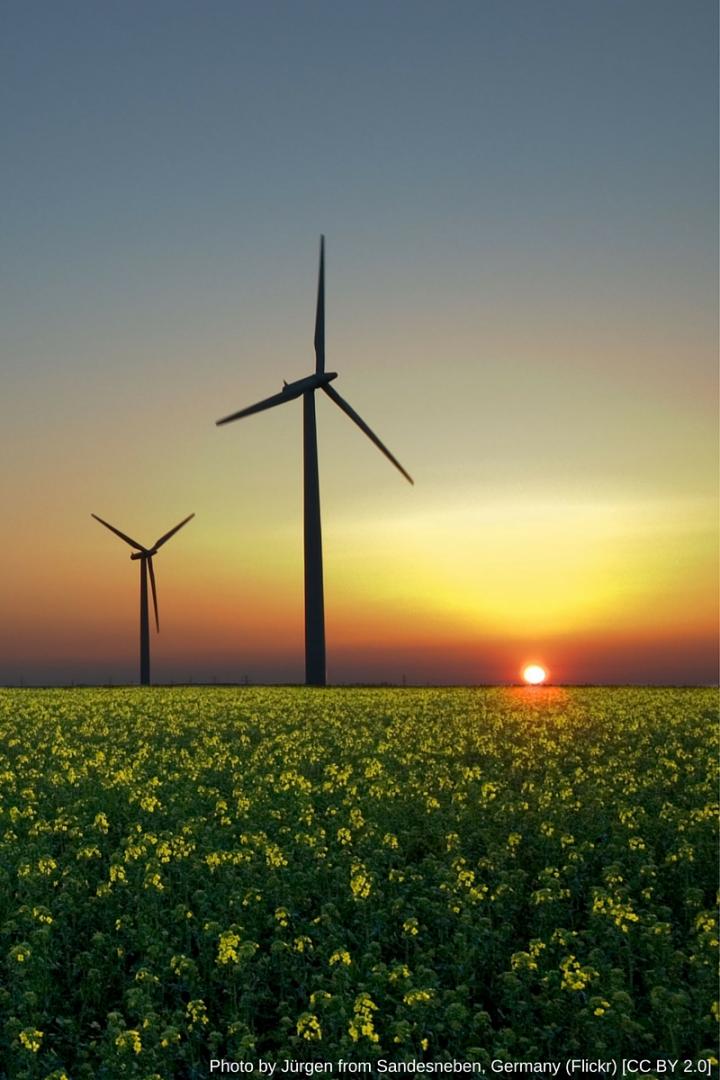 How to Curb Emissions? Put a Price on Carbon