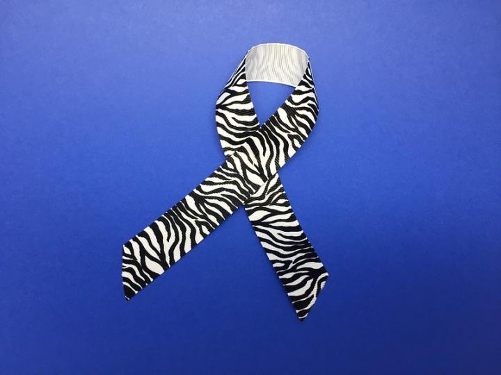 Zebra-print ribbon