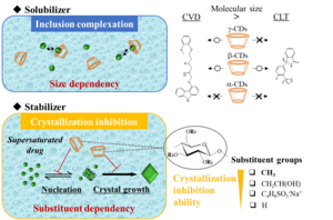 The mechanism underlying the stabilization of supersaturated drugs with cyclodextrins.