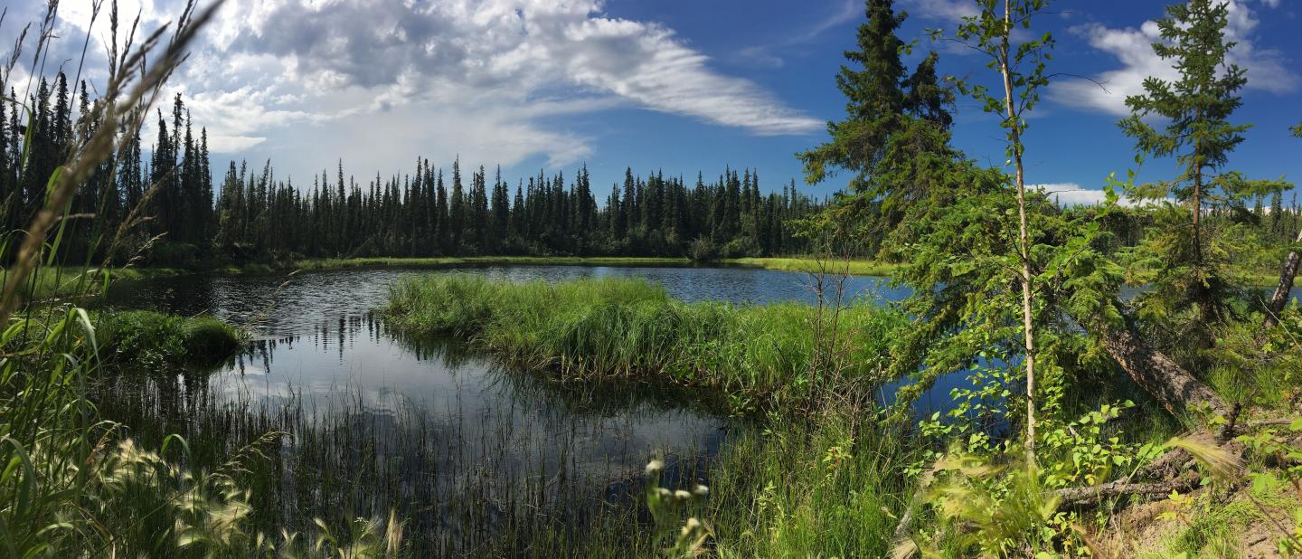 The Arctic Boreal Vulnerability Experiment