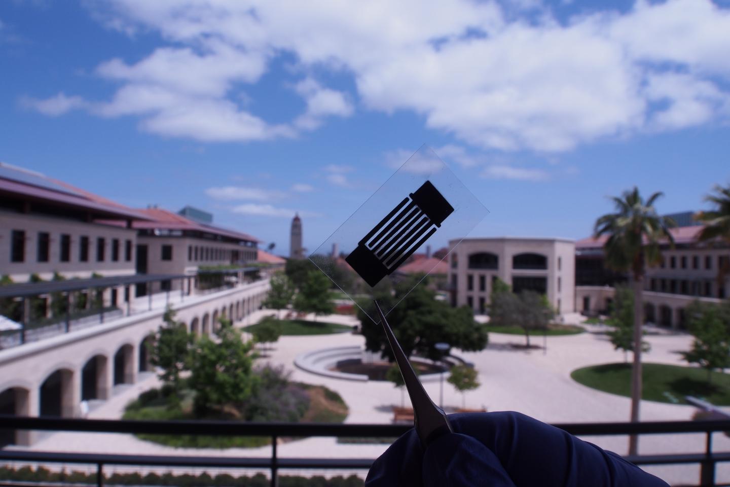 Designer Carbon Improves Energy Storage