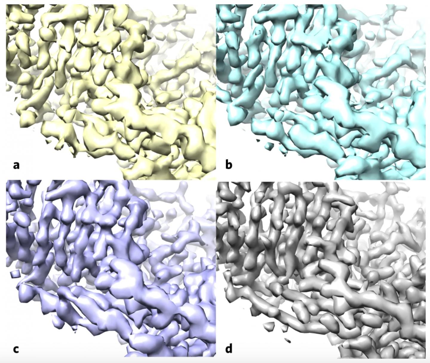 Algorithm improvements to lactase structure