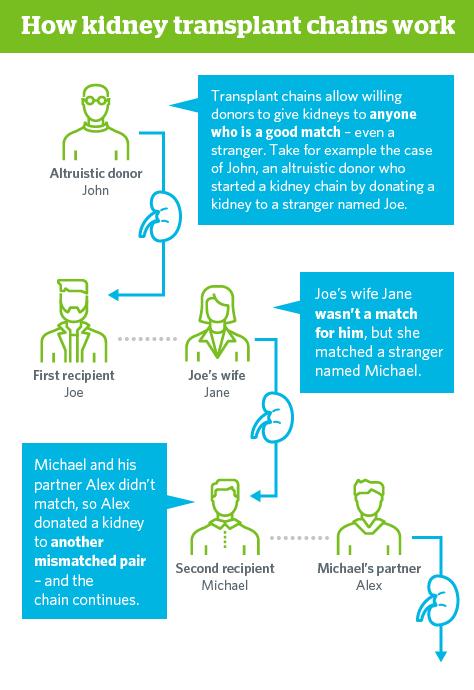 How Kidney Chains Work