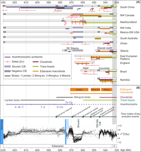 Integrated radioisotopic dates, fossil ranges, and carbon isotopic profile of the Ediacaran Period