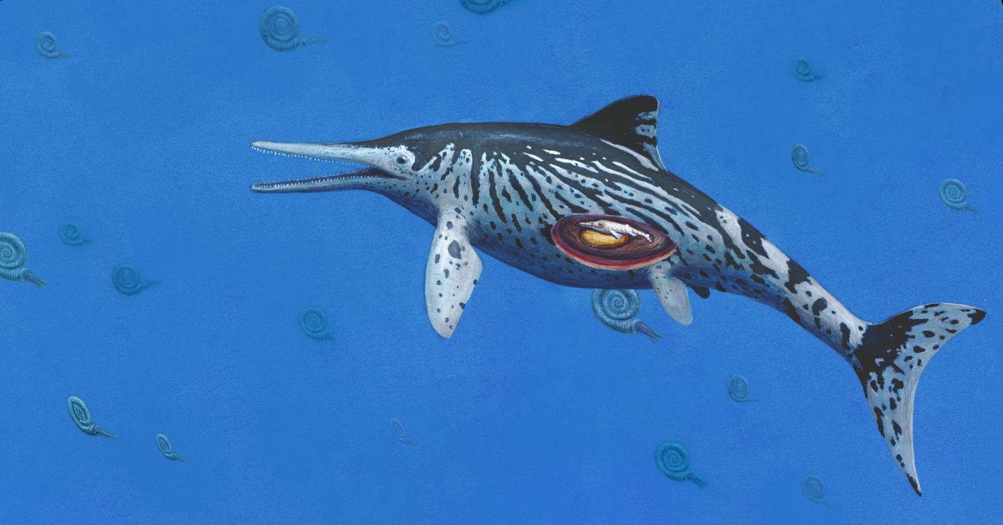 Life Reconstruction of <i>Ichthyosaurus</i>