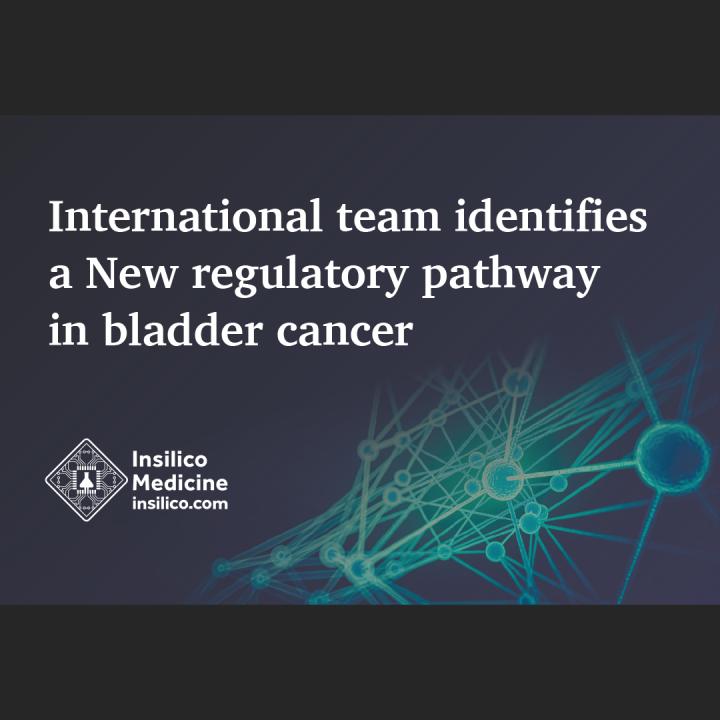 International Team Identifies a New Regulatory Pathway in Bladder Cancer