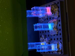 Supraparticles under UV light