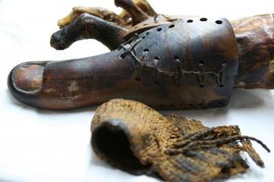 The Egyptian Museum Toe