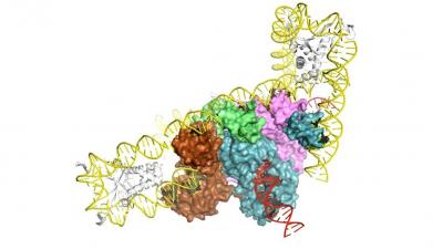 Lambda's Insertion Machine