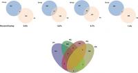 Venn Diagrams of Key Genes in Pancreatic Cancer Patients