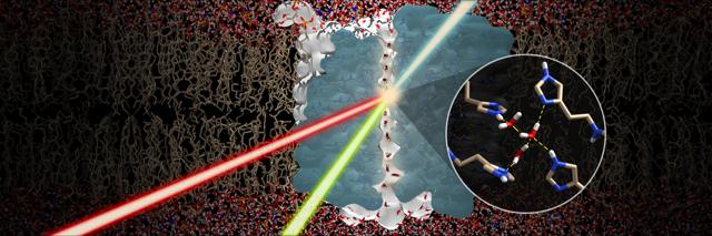 Oriented Chiral Water Wires in Artificial Transmembrane Channels