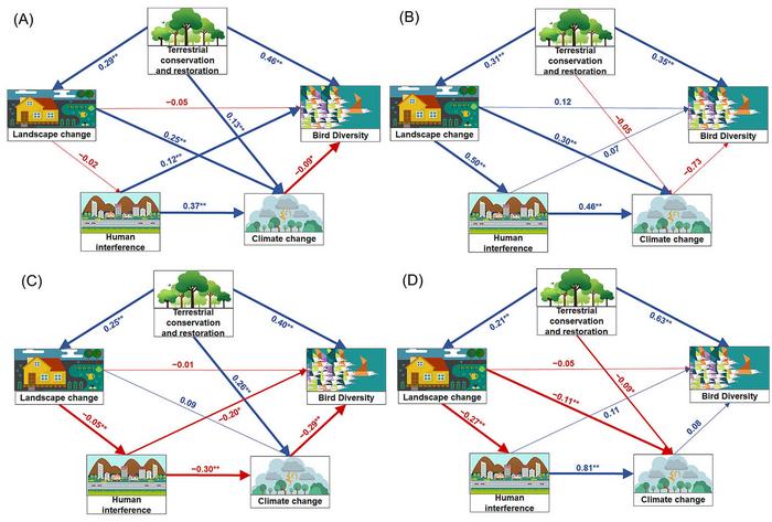 Partial least squares structural equation modeling of the relationships between changes in bird diversity and the factors driving those changes in the YRB (A), upstream (B), midstream (C), and downstream (D).