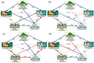 Partial least squares structural equation modeling of the relationships between changes in bird diversity and the factors driving those changes in the YRB (A), upstream (B), midstream (C), and downstream (D).