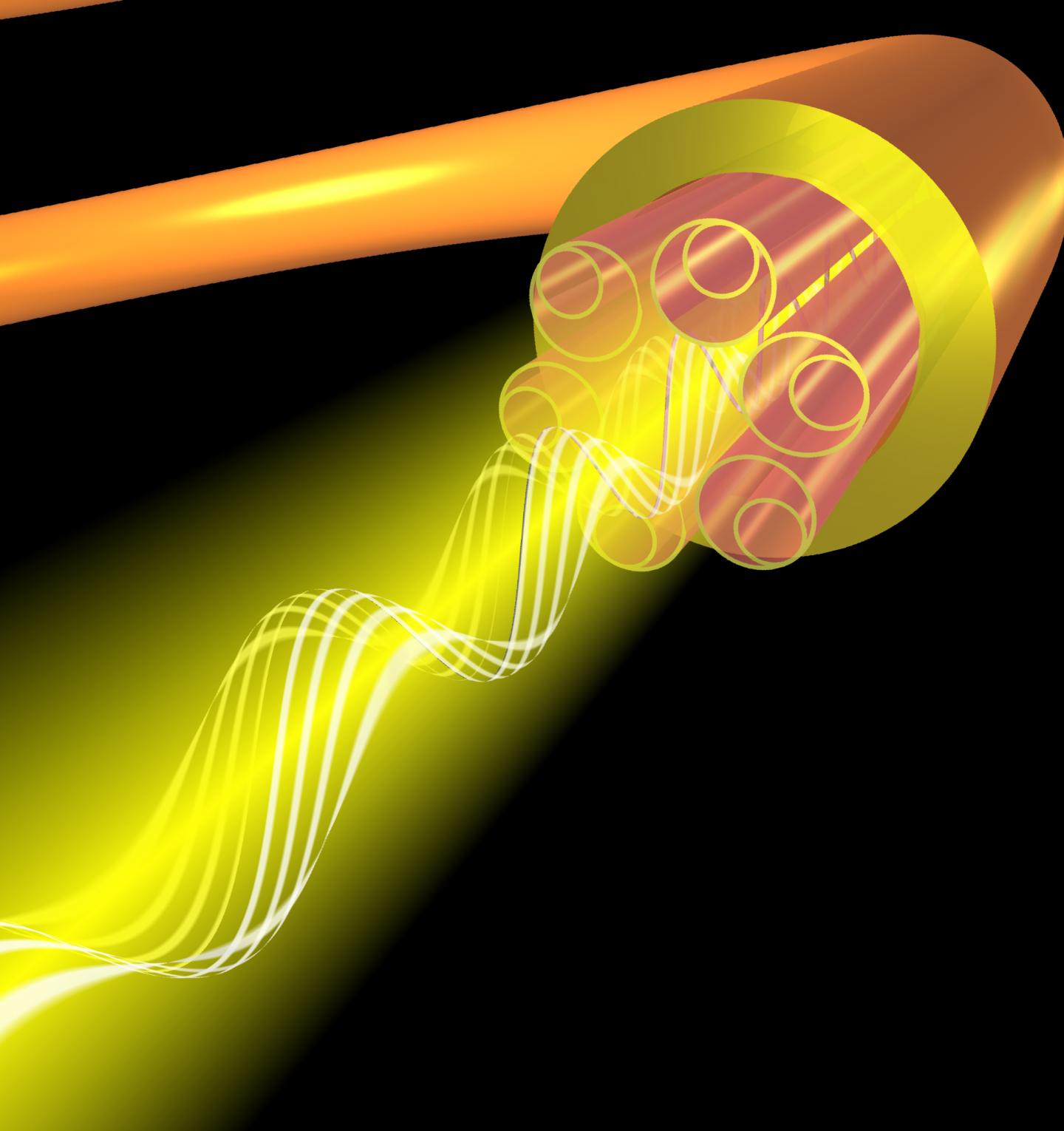 NANF Polarization Holding