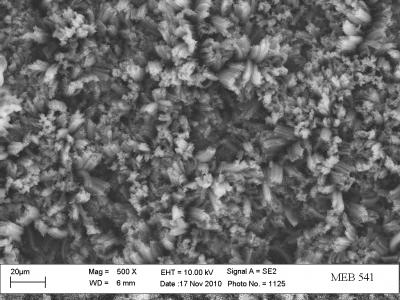 Close View of Hollow Carbon Nanotubes