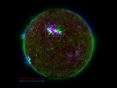 SDO Sees Spicules on the Sun