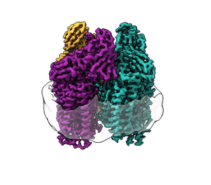 Methane-eating bacteria