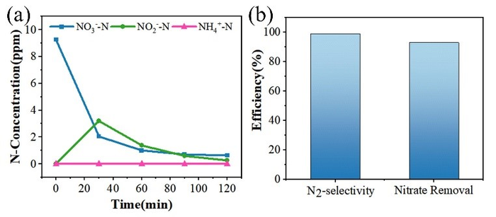 Efficient Electrocatalytic Reduction of Nitrate to Nitrogen Gas: Promising Way to Remove Nitrogen from Water