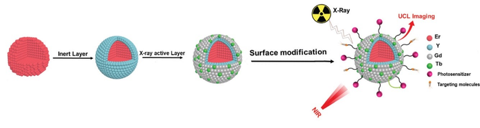 Schematics of the synthesis and structure of the nanoparticles