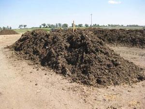 Stockpiled Manure