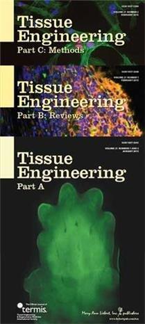 <I>Tissue Engineering</I>