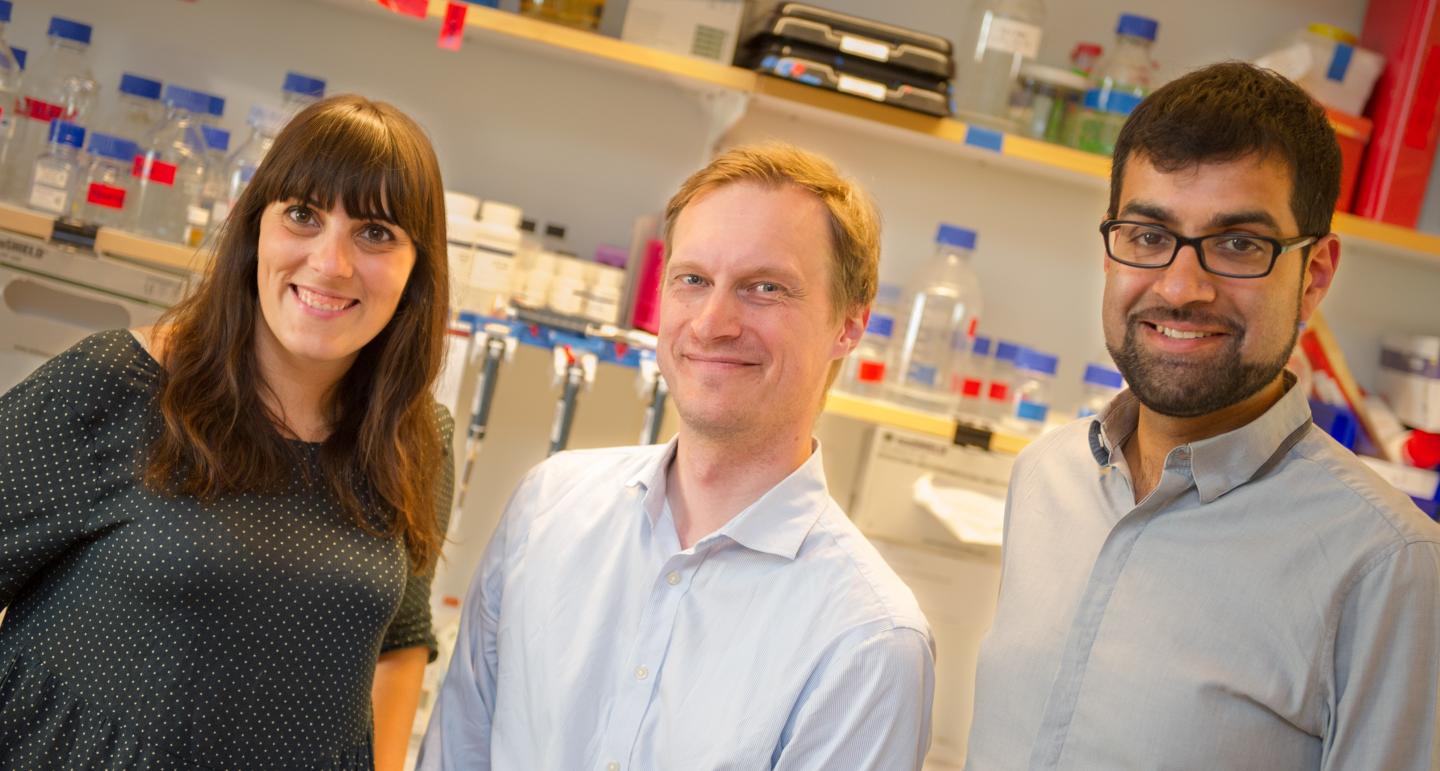 Marques, Linnarsson and Castelo-Branco