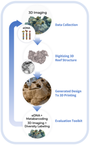 Reforming coral reefs using 3D printing