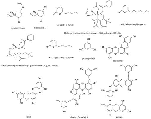 Tyrosinase Inhibitors from Terrestrial and Marine Resources