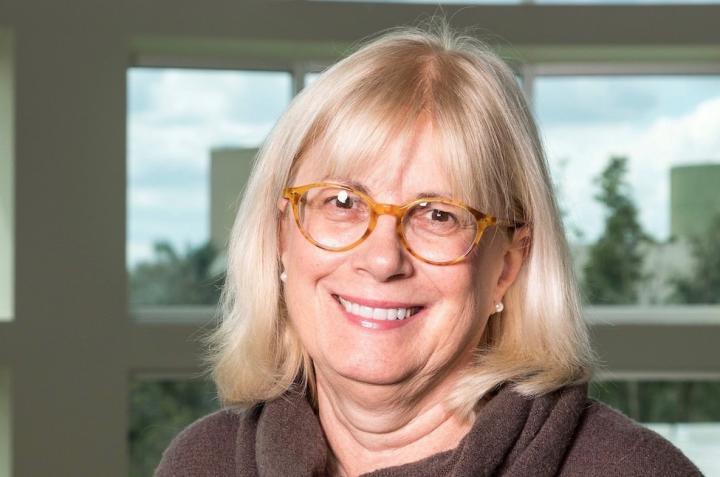 FAU Christine E. Lynn College of Nursing Project Will Serve Veterans