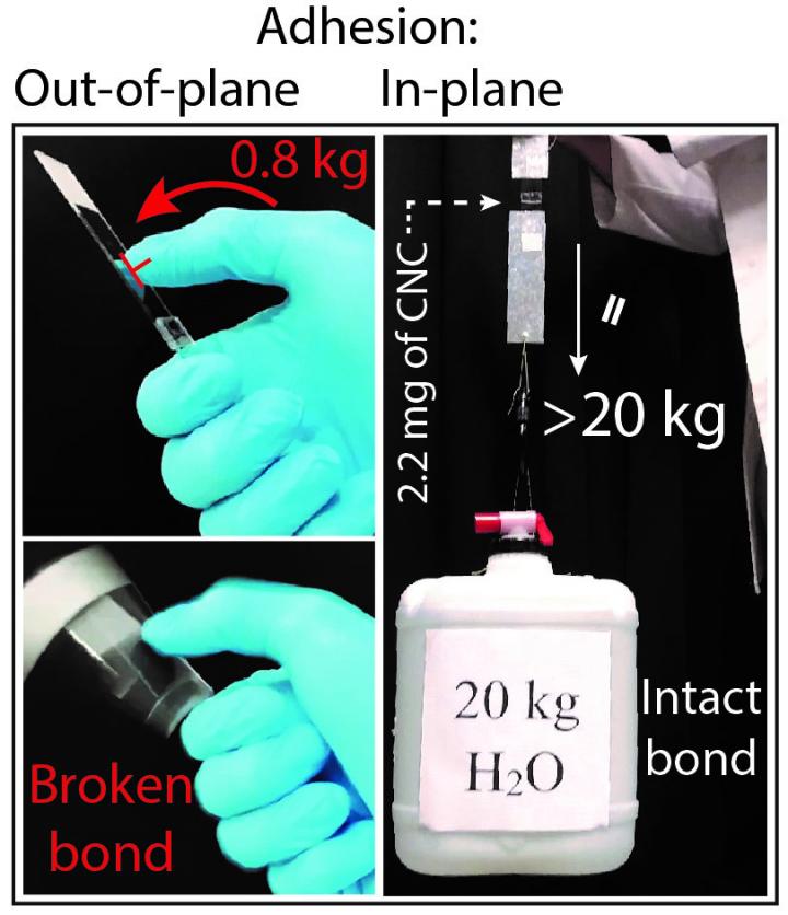 Basic Demonstration Graphic 2