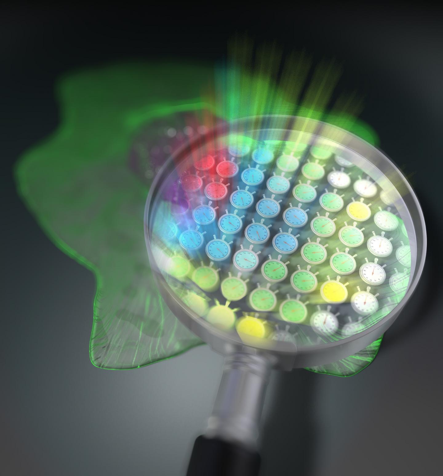 Fluorescence "lifetime" microscopy technique