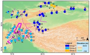 Geographical distribution of genetic structure of walnuts in Central Asia