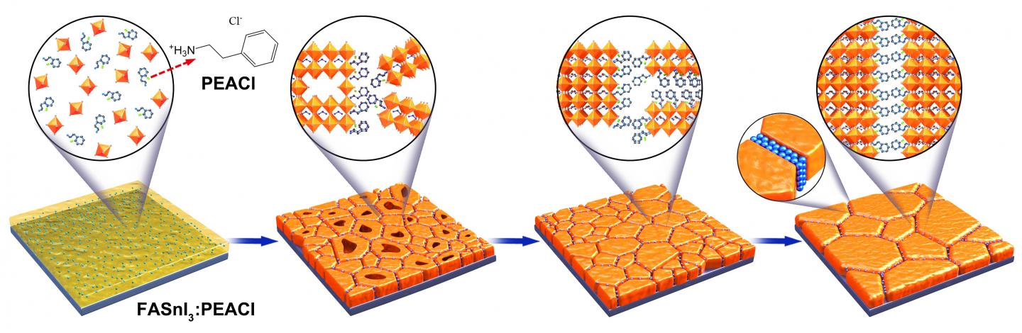 Prospects for low-toxicity lead-free perovskite solar cells