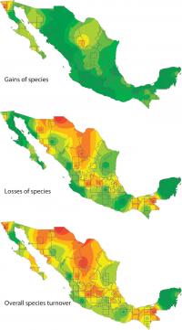 Mapping Mexico's Shifting Bird Populations