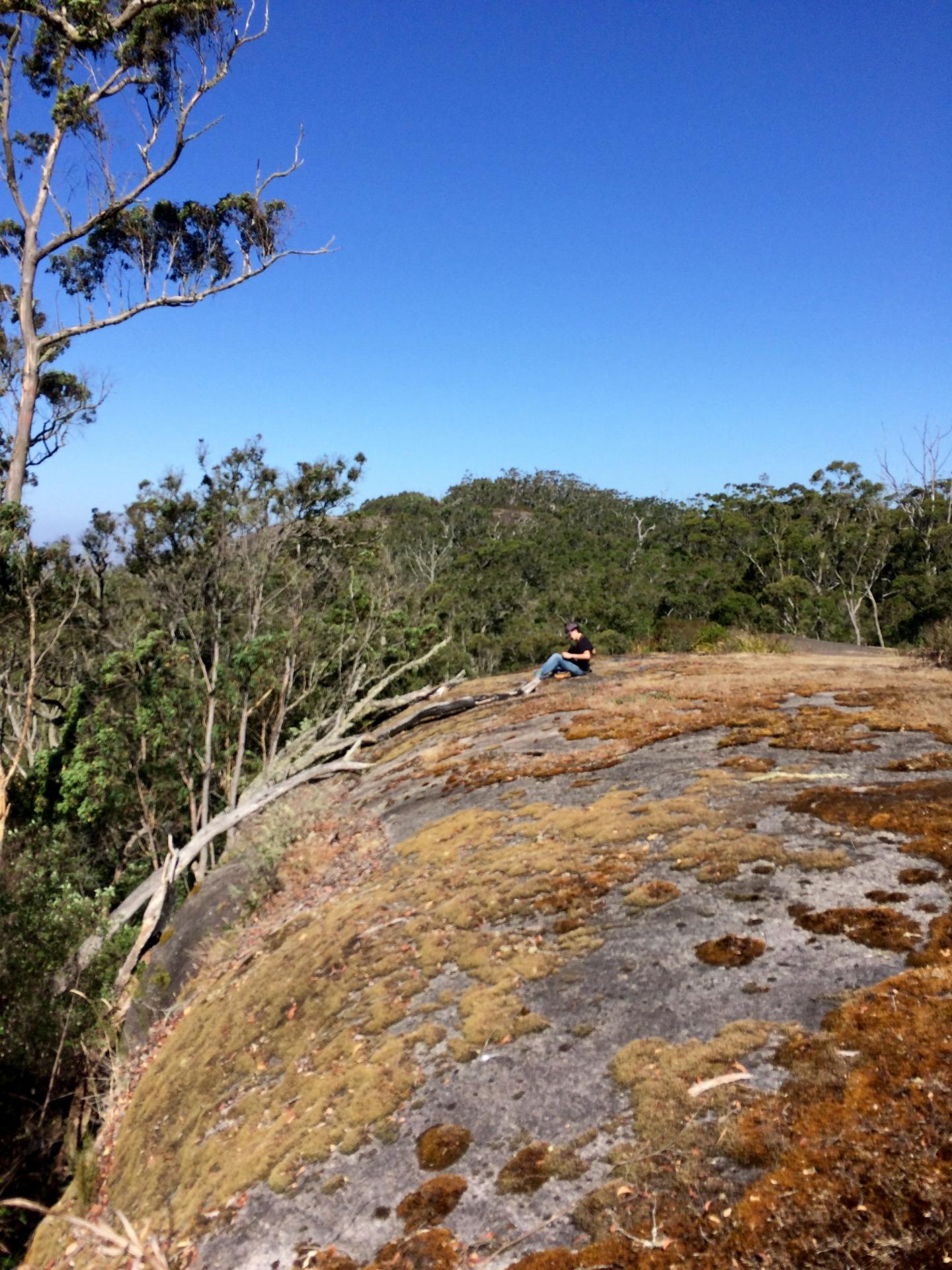 Lead Author in the Field on a Lichen-Covered Rock