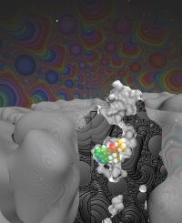 LSD Bound in Serotonin Receptor