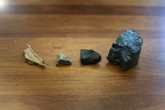 coal samples