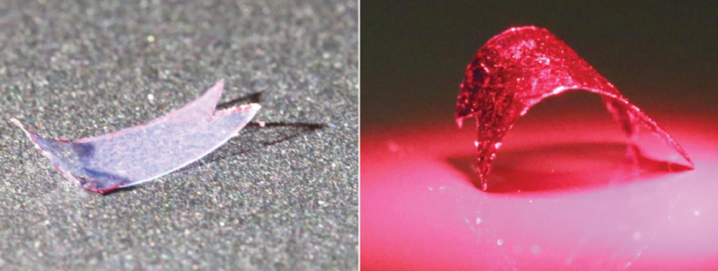 Soft Robot Moving under Illumination