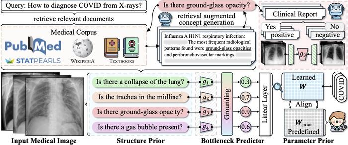 KnoBo's Process