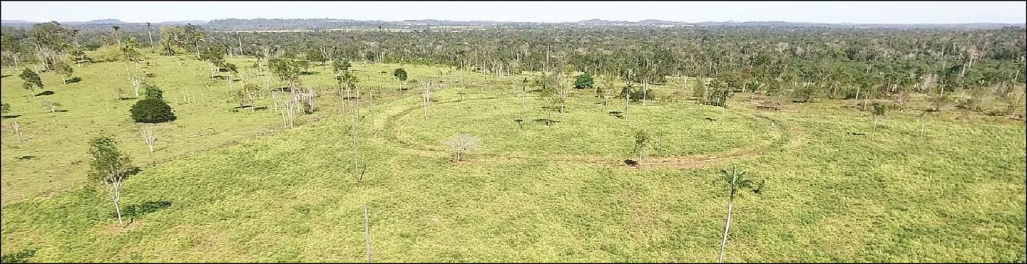 Ditched Enclosures of the UTB