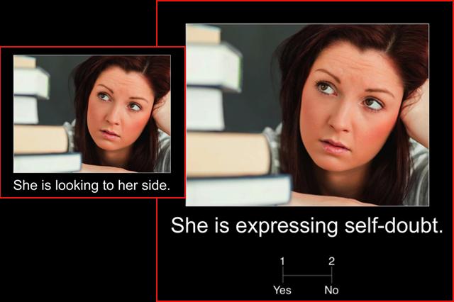 Social Brain -- Two Images